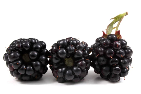 Ripe Blackberries White Background — Stock Photo, Image