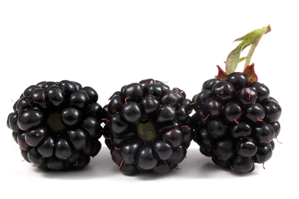 Reife Brombeeren Auf Weißem Hintergrund — Stockfoto