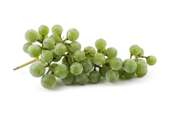 Uva Vino Verde Para Vino Blanco —  Fotos de Stock