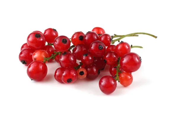 Bacche Ribes Rosso Isolate Sfondo Bianco — Foto Stock