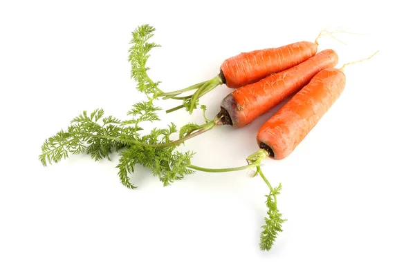 Zanahorias Con Hojas Aisladas Blanco —  Fotos de Stock