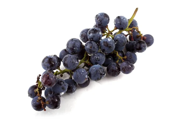 Cluster Black Wine Grape — Stock Photo, Image