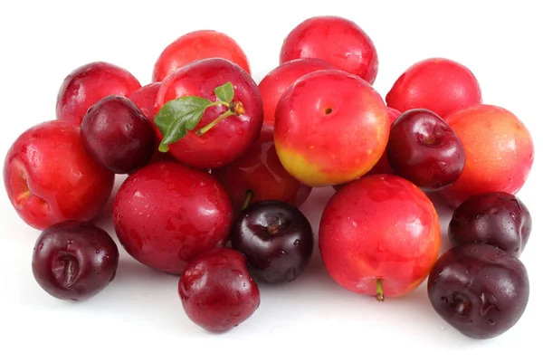 Different Berries Isolated White Background — Stock Photo, Image