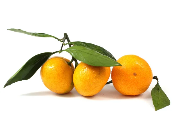 在白色上隔离的普通话橙 — 图库照片