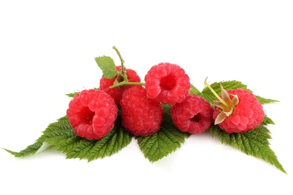 Rijpe Frambozen Met Bladeren Geïsoleerd Witte Achtergrond — Stockfoto