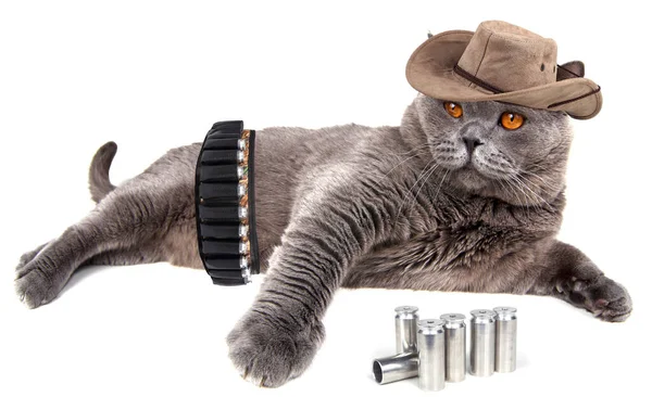 Забавна Ковбойська Кішка Великою Лапою — стокове фото
