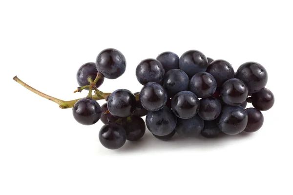 Raisin Vin Noir Isolé Sur Blanc — Photo