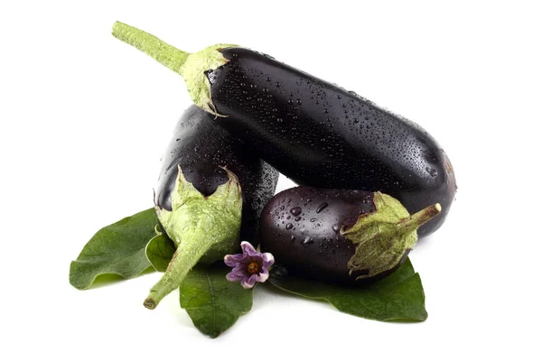 Close Van Rijpe Verse Aubergines — Stockfoto