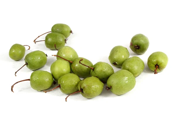 Kleine Kiwi Früchte Actinidia Kolomikta — Stockfoto