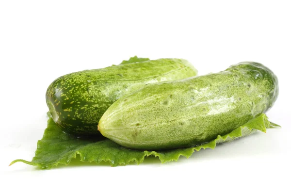 Cucumbers White Background — Stock Photo, Image