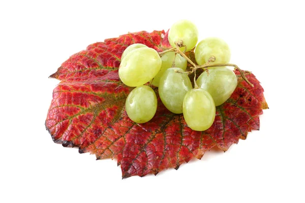 Kilka Świeżych Winogron Jesiennych Liściach Izolowanych Białym — Zdjęcie stockowe