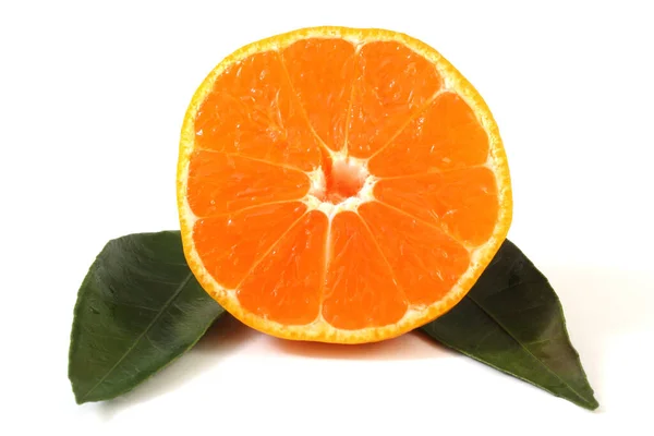 Mandarin Orange Isolated White — Stock Photo, Image