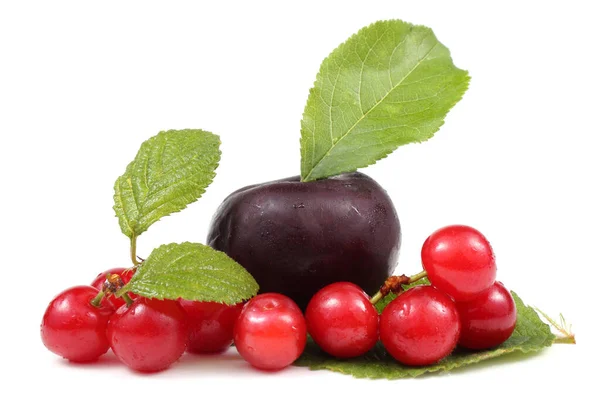 Verschiedene Beeren Isoliert Auf Weißem Hintergrund — Stockfoto