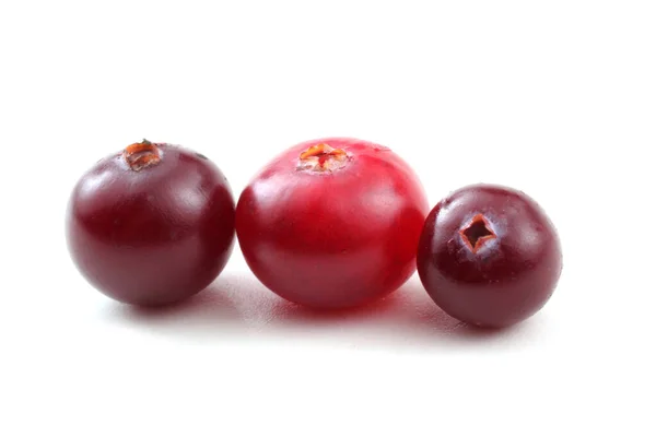 Close Fresh Sour Cranberries — Stock Photo, Image