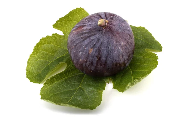 Fig Violeta Sobre Hoja Aislada Sobre Blanco —  Fotos de Stock