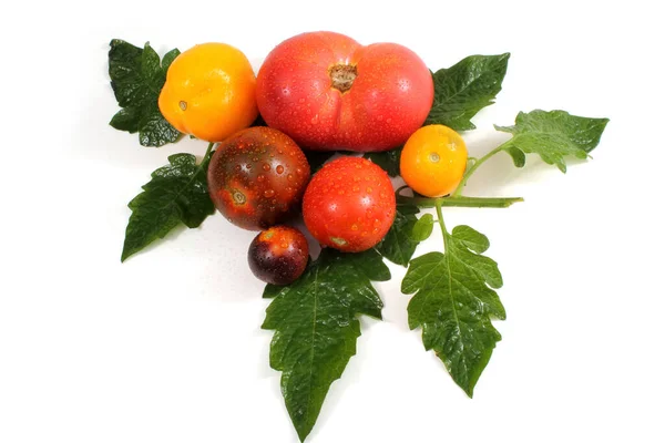 Sabrosos Tomates Maduros Sobre Fondo Blanco —  Fotos de Stock