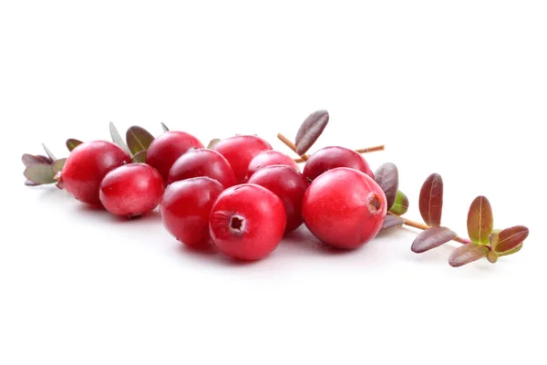 Tutup Dari Cranberry Asam Segar — Stok Foto