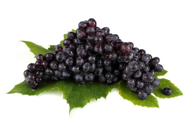 Fresh Ripe Grape Bunch Isolated White Background — Stock Photo, Image