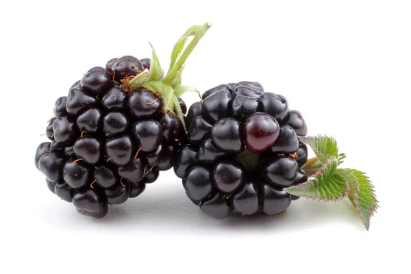 Ripe Blackberries White Background — Stock Photo, Image