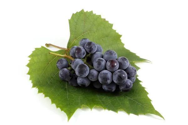 Black Wine Grape Isolated White — Stock Photo, Image