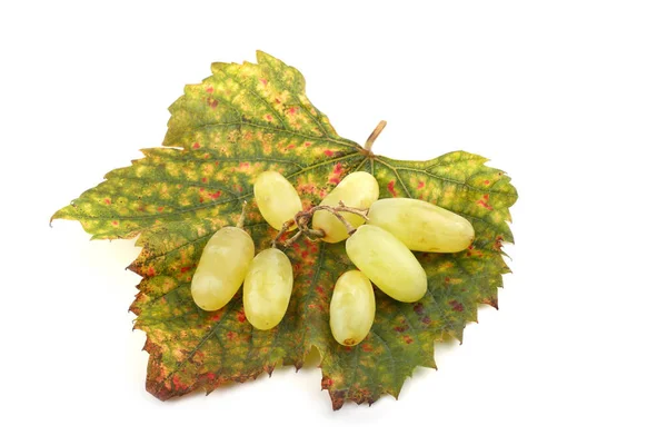 Fresh Ripe Grape Bunch Isolated White Background — Stock Photo, Image