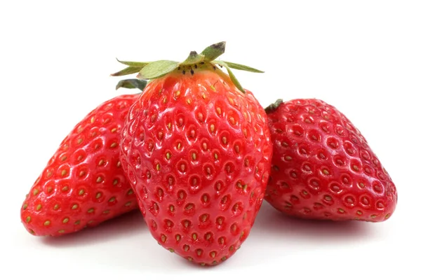 Erdbeeren Isoliert Auf Weißem Hintergrund Stockfoto