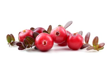 Taze ekşi yaban mersinlerini kapatın.