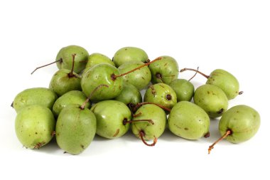 Küçük kivi (aktinidia kolimikta)