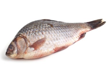 Crucian sazanı beyaza izole edilmiş.