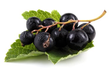 Siyah frenk üzümü beyaza izole edilmiş.