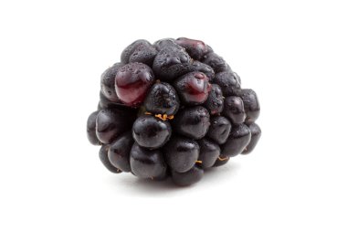 Taze böğürtlen. Kapat..