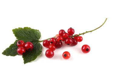 Beyaz arkaplanda kırmızı frenk üzümü var.