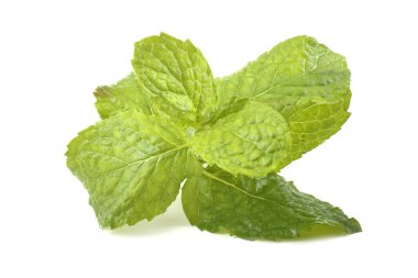 Beyaz arkaplanda nane yaprakları