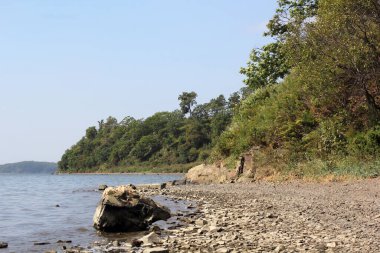 Deniz kıyısı ve orman