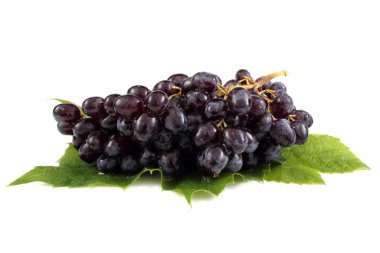 Beyaz arka planda izole edilmiş taze üzümler.