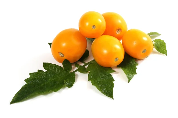 Smaczne Dojrzałe Pomidory Białym Tle — Zdjęcie stockowe