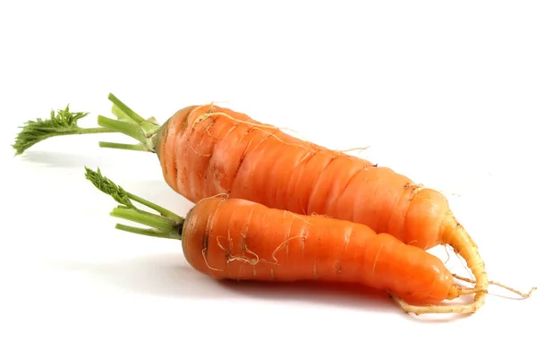 Dos Zanahorias Aisladas Blanco — Foto de Stock