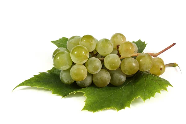 Winogrona Zielonego Wina Wina Białego — Zdjęcie stockowe