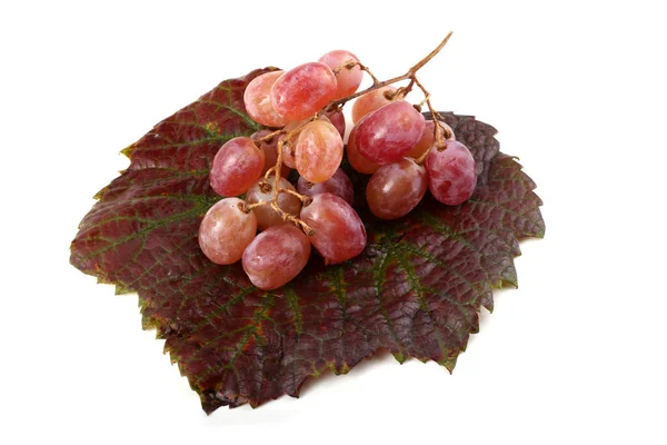 Рожевий Виноград Осінньому Листі — стокове фото