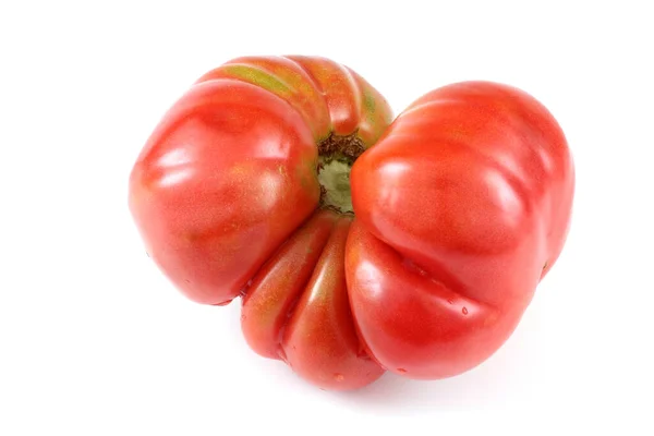 白色背景的成熟番茄 — 图库照片