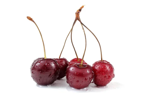 Cherries Isolated White Background — Stock Photo, Image