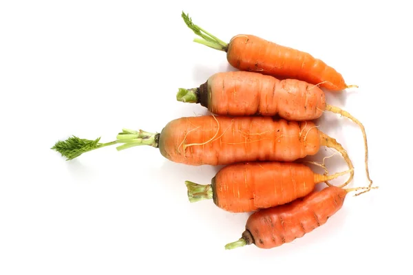 Zanahorias Aisladas Blanco —  Fotos de Stock