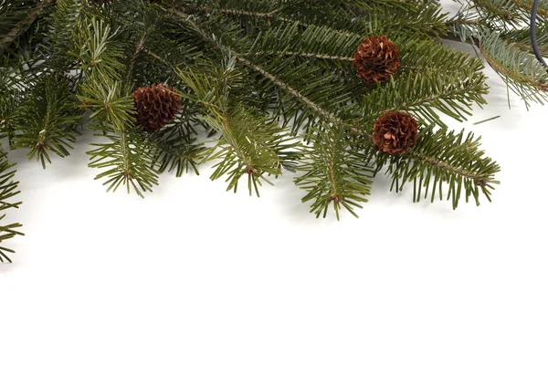 Vánoční Strom Kužely Izolované Bílém — Stock fotografie