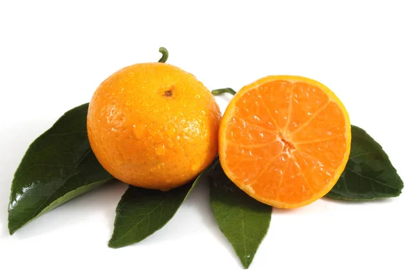 Mandarina Naranja Aislada Sobre Blanco — Foto de Stock