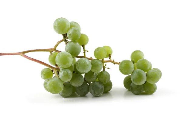 Uva Vino Verde Para Vino Blanco — Foto de Stock