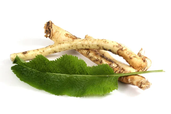 Pepparrot Gröna Blad Isolerad Vit Bakgrund — Stockfoto