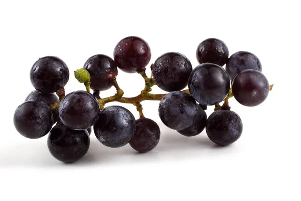 Cluster Black Wine Grape — Stock Photo, Image