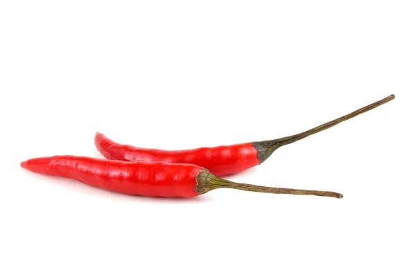 Pimienta Roja Aislada Sobre Fondo Blanco — Foto de Stock