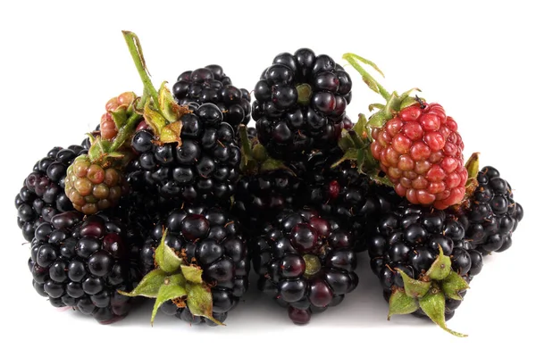 白色背景的成熟黑莓 — 图库照片