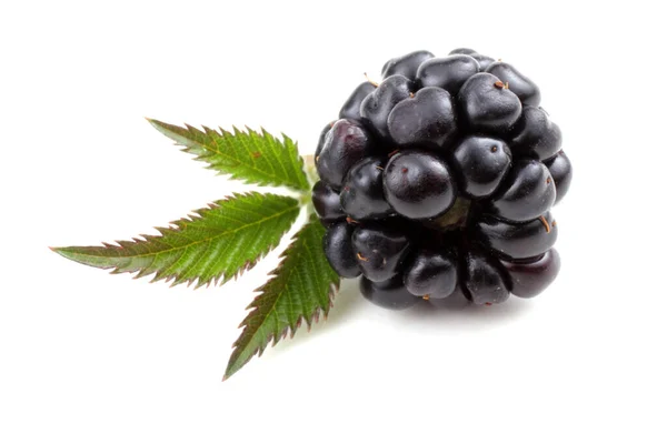 Close Fresh Blackberries Harvest — Stock Photo, Image